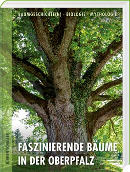 Faszinierende Bäume in der Oberpfalz - Cover